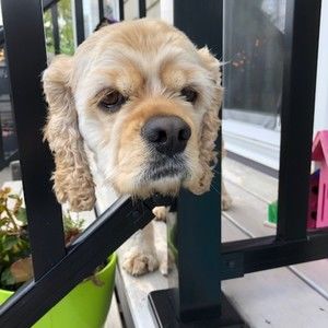 Meet your Posher, Aaliyah